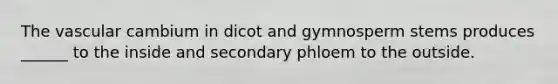 The vascular cambium in dicot and gymnosperm stems produces ______ to the inside and secondary phloem to the outside.