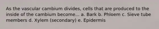 As the vascular cambium divides, cells that are produced to the inside of the cambium become... a. Bark b. Phloem c. Sieve tube members d. Xylem (secondary) e. Epidermis