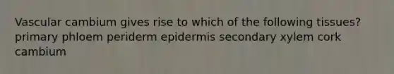 Vascular cambium gives rise to which of the following tissues? primary phloem periderm epidermis secondary xylem cork cambium