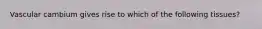 Vascular cambium gives rise to which of the following tissues?