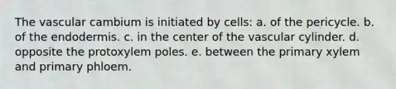 The vascular cambium is initiated by cells: a. of the pericycle. b. of the endodermis. c. in the center of the vascular cylinder. d. opposite the protoxylem poles. e. between the primary xylem and primary phloem.