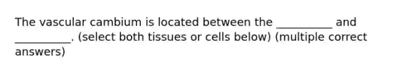 The vascular cambium is located between the __________ and __________. (select both tissues or cells below) (multiple correct answers)