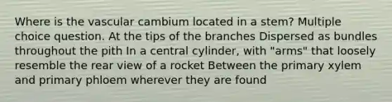 Where is the vascular cambium located in a stem? Multiple choice question. At the tips of the branches Dispersed as bundles throughout the pith In a central cylinder, with "arms" that loosely resemble the rear view of a rocket Between the primary xylem and primary phloem wherever they are found