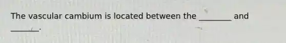 The vascular cambium is located between the ________ and _______.