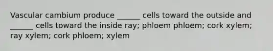 Vascular cambium produce ______ cells toward the outside and ______ cells toward the inside ray; phloem phloem; cork xylem; ray xylem; cork phloem; xylem