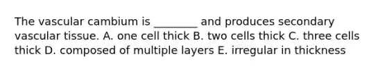 The vascular cambium is ________ and produces secondary vascular tissue. A. one cell thick B. two cells thick C. three cells thick D. composed of multiple layers E. irregular in thickness