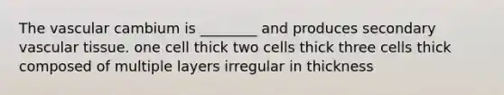 The vascular cambium is ________ and produces secondary <a href='https://www.questionai.com/knowledge/k1HVFq17mo-vascular-tissue' class='anchor-knowledge'>vascular tissue</a>. one cell thick two cells thick three cells thick composed of multiple layers irregular in thickness