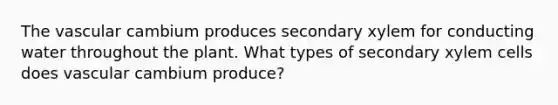 The vascular cambium produces secondary xylem for conducting water throughout the plant. What types of secondary xylem cells does vascular cambium produce?