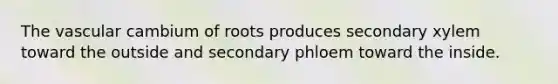 The vascular cambium of roots produces secondary xylem toward the outside and secondary phloem toward the inside.