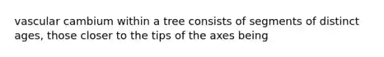 vascular cambium within a tree consists of segments of distinct ages, those closer to the tips of the axes being