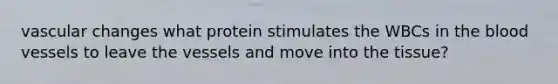 vascular changes what protein stimulates the WBCs in the blood vessels to leave the vessels and move into the tissue?