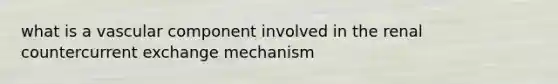 what is a vascular component involved in the renal countercurrent exchange mechanism