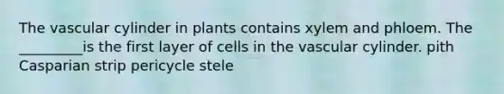 The vascular cylinder in plants contains xylem and phloem. The _________is the first layer of cells in the vascular cylinder. pith Casparian strip pericycle stele