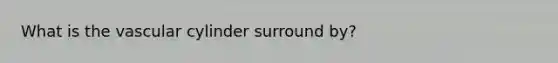 What is the vascular cylinder surround by?