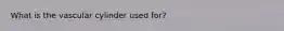 What is the vascular cylinder used for?