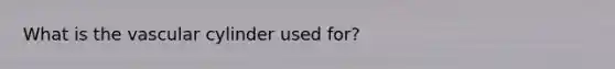 What is the vascular cylinder used for?