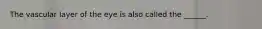 The vascular layer of the eye is also called the ______.
