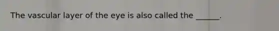 The vascular layer of the eye is also called the ______.