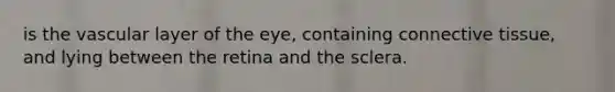 is the vascular layer of the eye, containing connective tissue, and lying between the retina and the sclera.