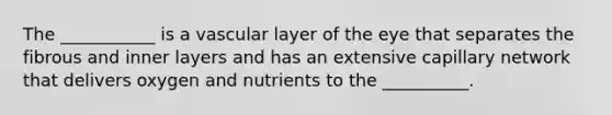 The ___________ is a vascular layer of the eye that separates the fibrous and inner layers and has an extensive capillary network that delivers oxygen and nutrients to the __________.