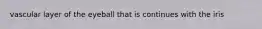 vascular layer of the eyeball that is continues with the iris