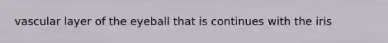 vascular layer of the eyeball that is continues with the iris