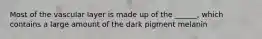 Most of the vascular layer is made up of the ______, which contains a large amount of the dark pigment melanin
