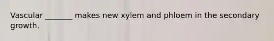 Vascular _______ makes new xylem and phloem in the secondary growth.