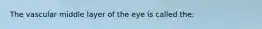 The vascular middle layer of the eye is called the: