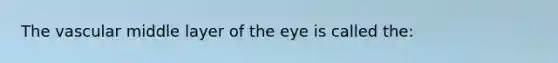 The vascular middle layer of the eye is called the: