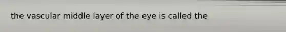 the vascular middle layer of the eye is called the