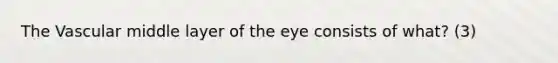 The Vascular middle layer of the eye consists of what? (3)