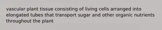 vascular plant tissue consisting of living cells arranged into elongated tubes that transport sugar and other organic nutrients throughout the plant