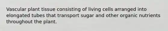 Vascular plant tissue consisting of living cells arranged into elongated tubes that transport sugar and other organic nutrients throughout the plant.