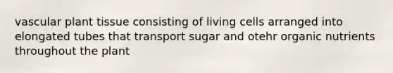 vascular plant tissue consisting of living cells arranged into elongated tubes that transport sugar and otehr organic nutrients throughout the plant