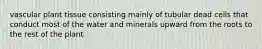 vascular plant tissue consisting mainly of tubular dead cells that conduct most of the water and minerals upward from the roots to the rest of the plant