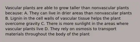 Vascular plants are able to grow taller than nonvascular plants because: A. They can live in drier areas than nonvascular plants B. Lignin in the cell walls of vascular tissue helps the plant overcome gravity C. There is more sunlight in the areas where vascular plants live D. They rely on osmosis to transport materials throughout the body of the plant