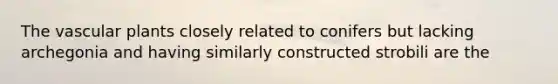 The vascular plants closely related to conifers but lacking archegonia and having similarly constructed strobili are the