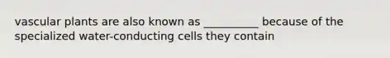 vascular plants are also known as __________ because of the specialized water-conducting cells they contain