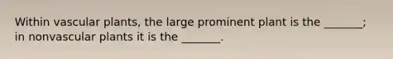 Within vascular plants, the large prominent plant is the _______; in nonvascular plants it is the _______.