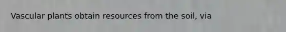 <a href='https://www.questionai.com/knowledge/kbaUXKuBoK-vascular-plants' class='anchor-knowledge'>vascular plants</a> obtain resources from the soil, via