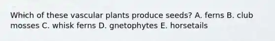 Which of these <a href='https://www.questionai.com/knowledge/kbaUXKuBoK-vascular-plants' class='anchor-knowledge'>vascular plants</a> produce seeds? A. ferns B. club mosses C. whisk ferns D. gnetophytes E. horsetails