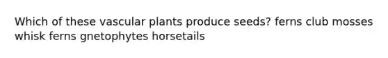 Which of these <a href='https://www.questionai.com/knowledge/kbaUXKuBoK-vascular-plants' class='anchor-knowledge'>vascular plants</a> produce seeds? ferns club mosses whisk ferns gnetophytes horsetails