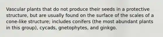 Vascular plants that do not produce their seeds in a protective structure, but are usually found on the surface of the scales of a cone-like structure; includes conifers (the most abundant plants in this group), cycads, gnetophytes, and ginkgo.