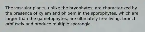 The vascular plants, unlike the bryophytes, are characterized by the presence of xylem and phloem in the sporophytes, which are larger than the gametophytes, are ultimately free-living, branch profusely and produce multiple sporangia.