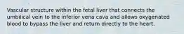 Vascular structure within the fetal liver that connects the umbilical vein to the inferior vena cava and allows oxygenated blood to bypass the liver and return directly to the heart.