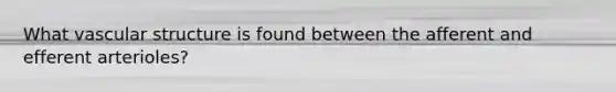 What vascular structure is found between the afferent and efferent arterioles?