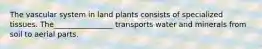 The vascular system in land plants consists of specialized tissues. The________________ transports water and minerals from soil to aerial parts.