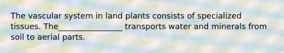 The vascular system in land plants consists of specialized tissues. The________________ transports water and minerals from soil to aerial parts.