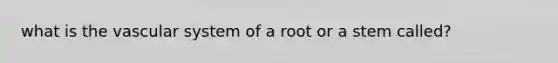 what is the vascular system of a root or a stem called?